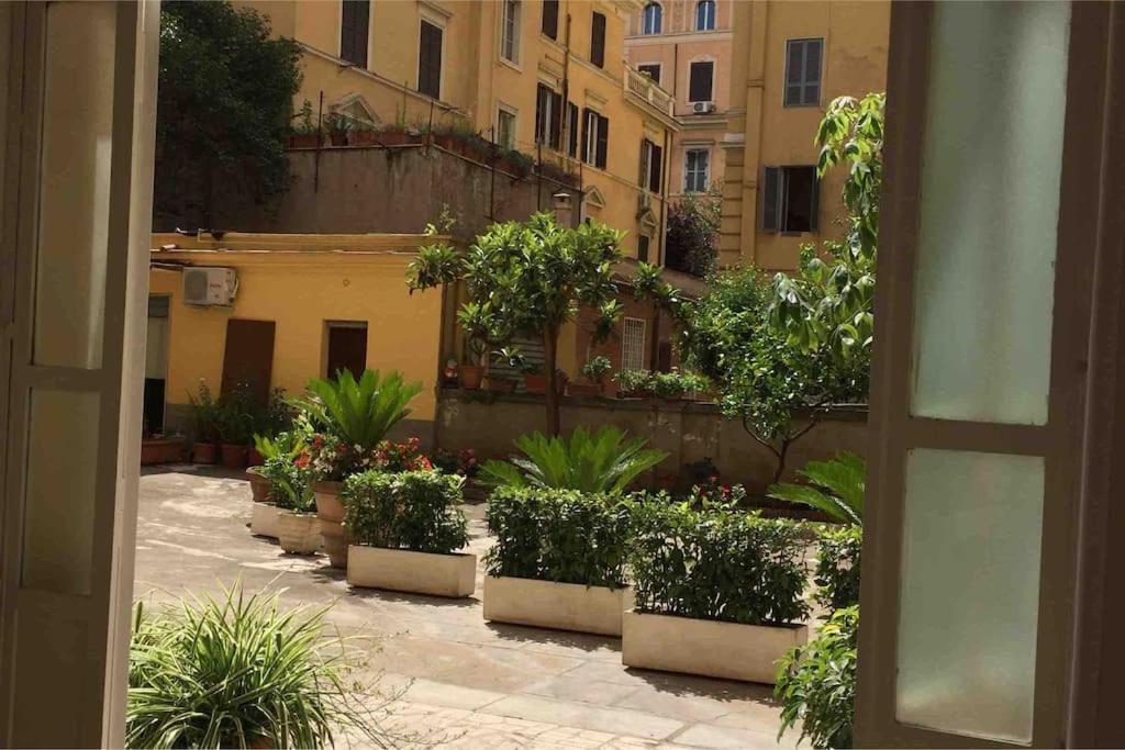 Vatican Rhapsody Appartement Rome